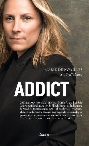 Book cover of Addict