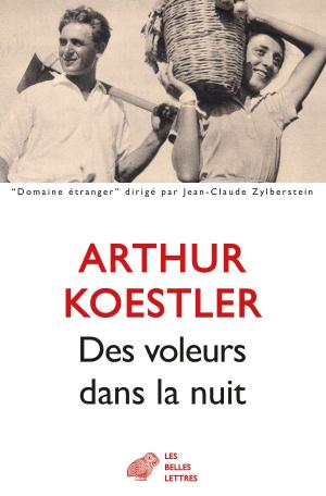 Book cover of Des voleurs dans la nuit