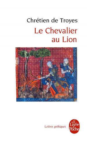 Cover of the book Le Chevalier au Lion by Michèle Barrière