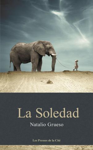 Cover of the book La Soledad by Bernard LECOMTE