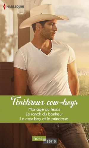 Book cover of Ténébreux cow-boys