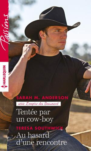Book cover of Tentée par un cow-boy - Au hasard d'une rencontre