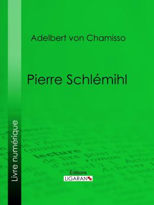 Cover of the book Pierre Schlémihl by Docteur Lucien-Graux, Ligaran