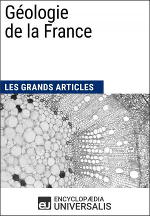 Cover of the book Géologie de la France by Encyclopaedia Universalis, Les Grands Articles