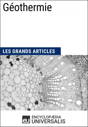 bigCover of the book Géothermie by 