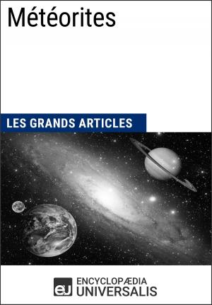 Cover of the book Météorites by Encyclopaedia Universalis