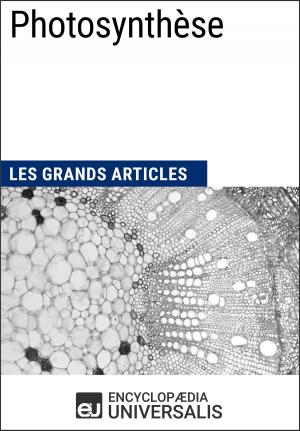 Cover of the book Photosynthèse by Encyclopaedia Universalis, Les Grands Articles
