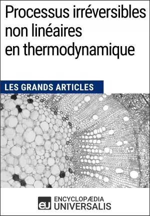 Cover of the book Processus irréversibles non linéaires en thermodynamique by Encyclopaedia Universalis