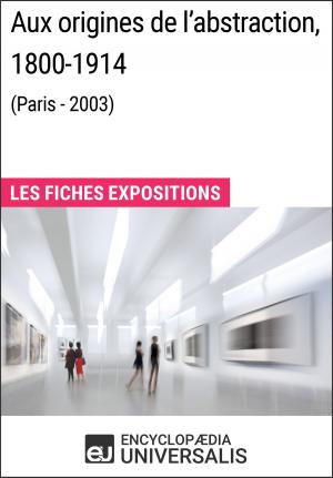 Cover of Aux origines de l'abstraction, 1800-1914 (Paris - 2003)