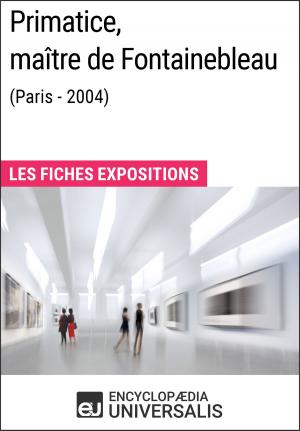 Cover of Primatice, maître de Fontainebleau (Paris - 2004)