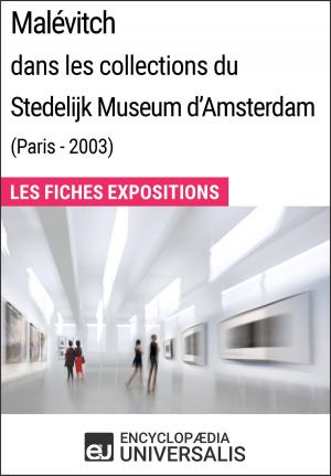 Cover of Malévitch dans les collections du Stedelijk Museum d'Amsterdam (Paris - 2003)