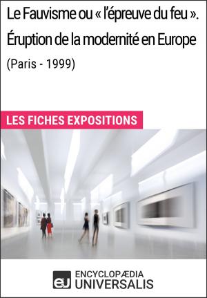 Cover of the book Le Fauvisme ou «l'épreuve du feu». Éruption de la modernité en Europe (Paris - 1999) by Aib Marche, AIB Marche
