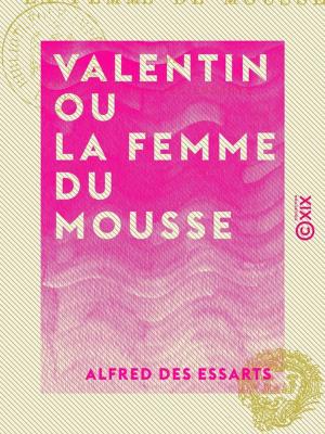 Cover of the book Valentin ou la Femme du mousse by J.-H. Rosny