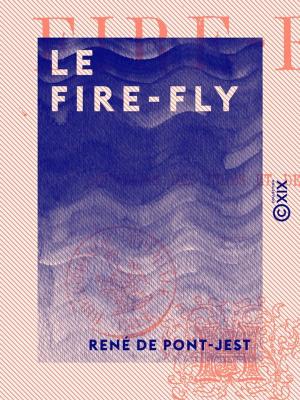 Cover of the book Le Fire-Fly - Souvenirs des Indes et de la Chine by Philippe Tamizey de Larroque