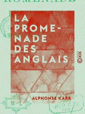 Cover of the book La Promenade des Anglais by Jules Barthélemy-Saint-Hilaire