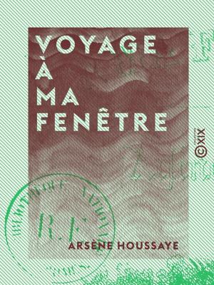 Cover of the book Voyage à ma fenêtre by Ernest Daudet