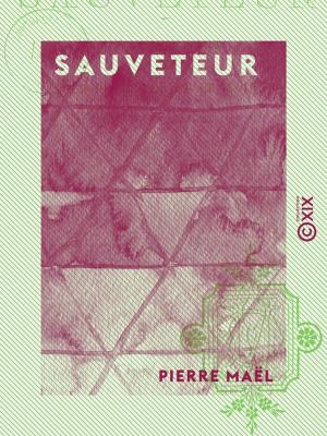 Cover of the book Sauveteur by Philarète Chasles