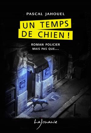 Cover of the book Un temps de chien ! by Stéphanie de Mecquenem