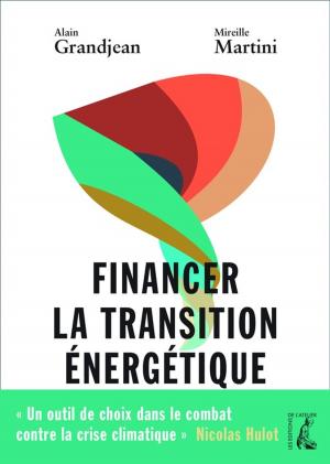 Cover of the book Financer la transition énergétique by Daniel Moulinet
