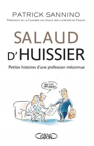 Cover of the book Salaud d'huissier by Patrick Seth