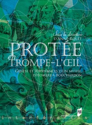 Cover of the book Protée en trompe-l'oeil by Nicolas Mathieu