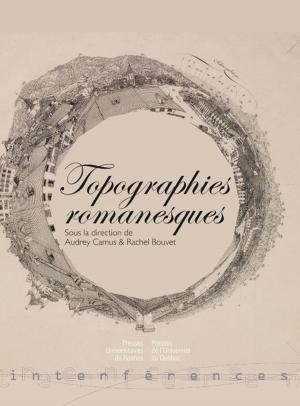 Cover of the book Topographies romanesques by Charles Frostin