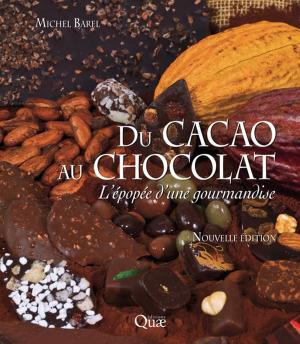 Cover of the book Du cacao au chocolat by Maurice Hullé, Evelyne Turpeau-Ait Ighil, Yvon Robert, Yves Monnet