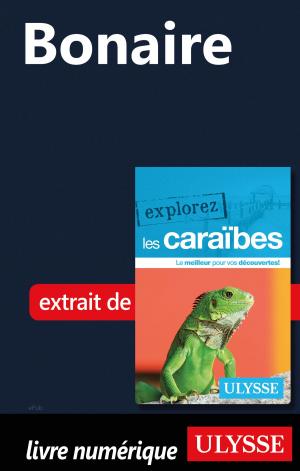 Cover of the book Bonaire by Jérôme Delgado