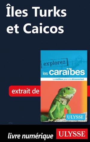 Cover of the book Îles Turks et Caicos by Jean-Hugues Robert