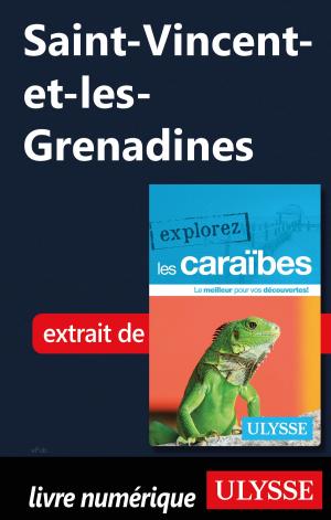 Cover of the book Saint-Vincent-et-les-Grenadines by Richard-Olivier Jeanson