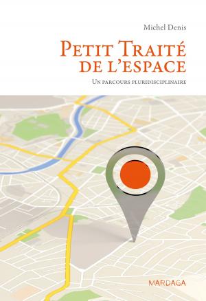 Cover of the book Petit Traité de l'espace by Nathalie Nader-Grosbois