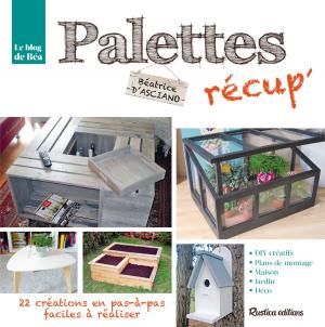 Cover of the book Palettes récup' by Laurent Renault