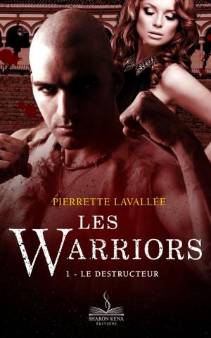 Cover of the book Le Destructeur by Marlène Jedynak