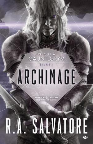 Cover of the book Archimage by Drew Karpyshyn
