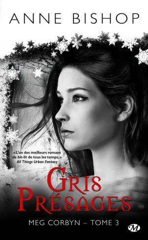 Book cover of Gris Présages