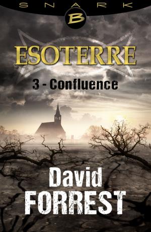 Cover of the book Confluence - Esoterre - Saison 1 - Épisode 3 by Warren Murphy, Richard Sapir