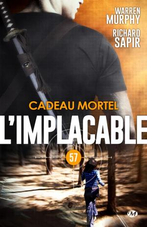 Cover of the book Cadeau mortel by Erik Wietzel