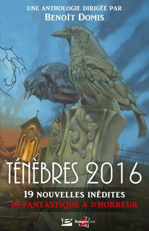 Cover of the book Ténèbres 2016 by Warren Murphy, Richard Sapir