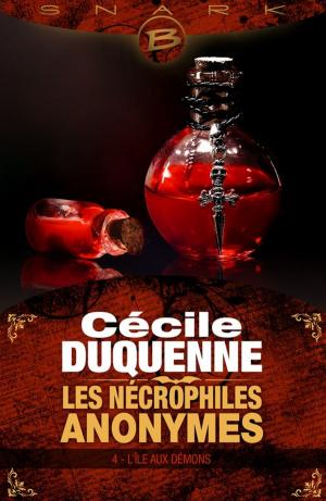 Cover of the book L'Île aux démons by Alexandra Ivy