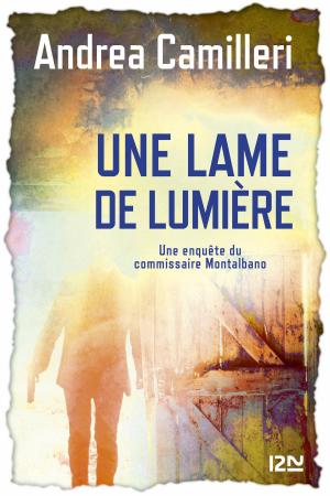 Cover of the book Une lame de lumière by Erin HUNTER