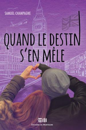 Cover of the book Quand le destin s'en mêle by Lauzon Emmanuel