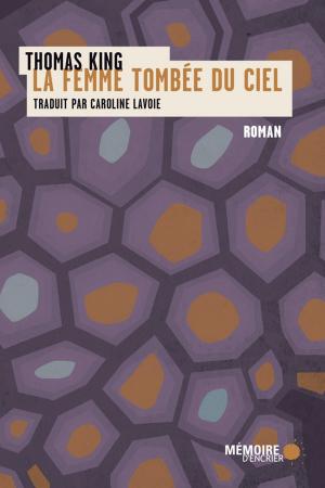 Cover of the book La femme tombée du ciel by Evains wêche