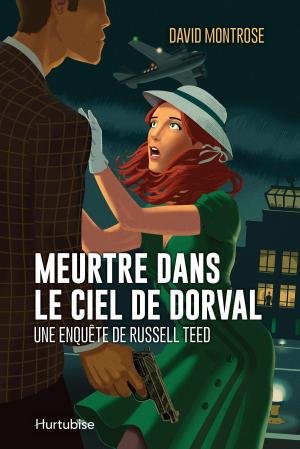 Cover of the book Meurtre dans le ciel de Dorval by Michel David
