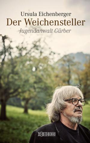 Cover of the book Der Weichensteller by Frank Baumann