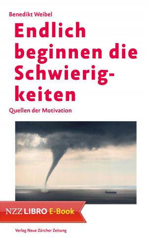 Cover of the book Endlich beginnen die Schwierigkeiten by Christoph Hauser
