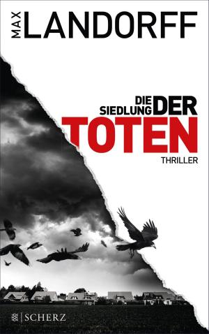 Book cover of Die Siedlung der Toten