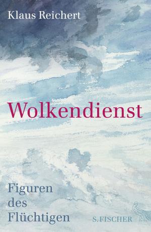 Cover of the book Wolkendienst by Vilém Flusser