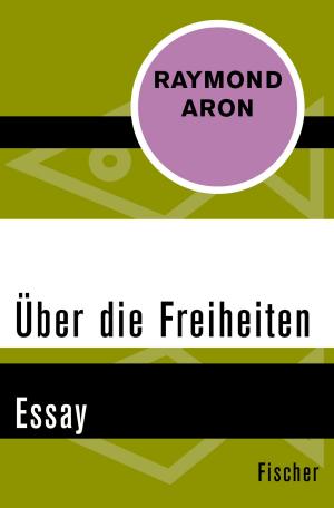 Cover of the book Über die Freiheiten by Diether Döring