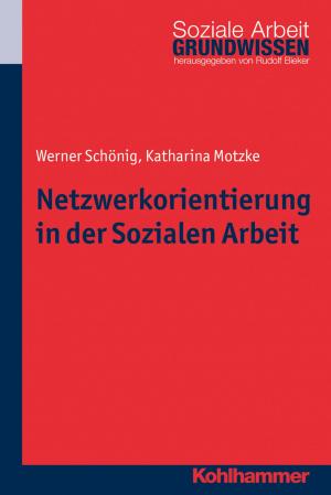 Cover of the book Netzwerkorientierung in der Sozialen Arbeit by Armin Castello