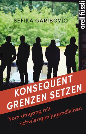 Cover of the book Konsequent Grenzen setzen by Eckhard Frick, Brigitte Boothe